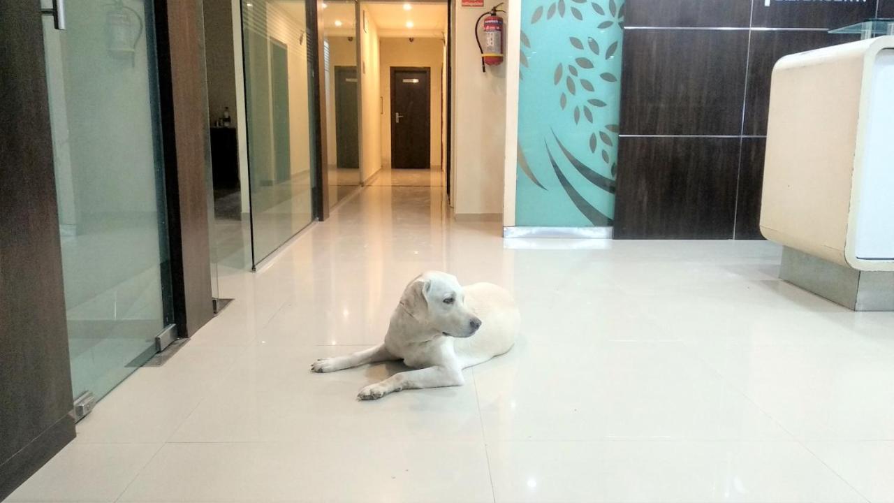 Sai Srushti By Neem Square Hotel Shirdi Ngoại thất bức ảnh
